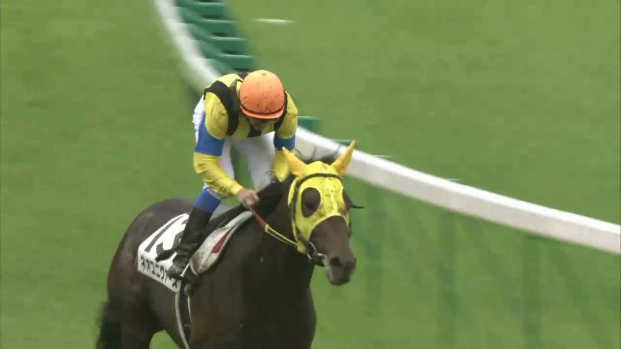 第70回日本ダービー ネオユニヴァース - YouTube