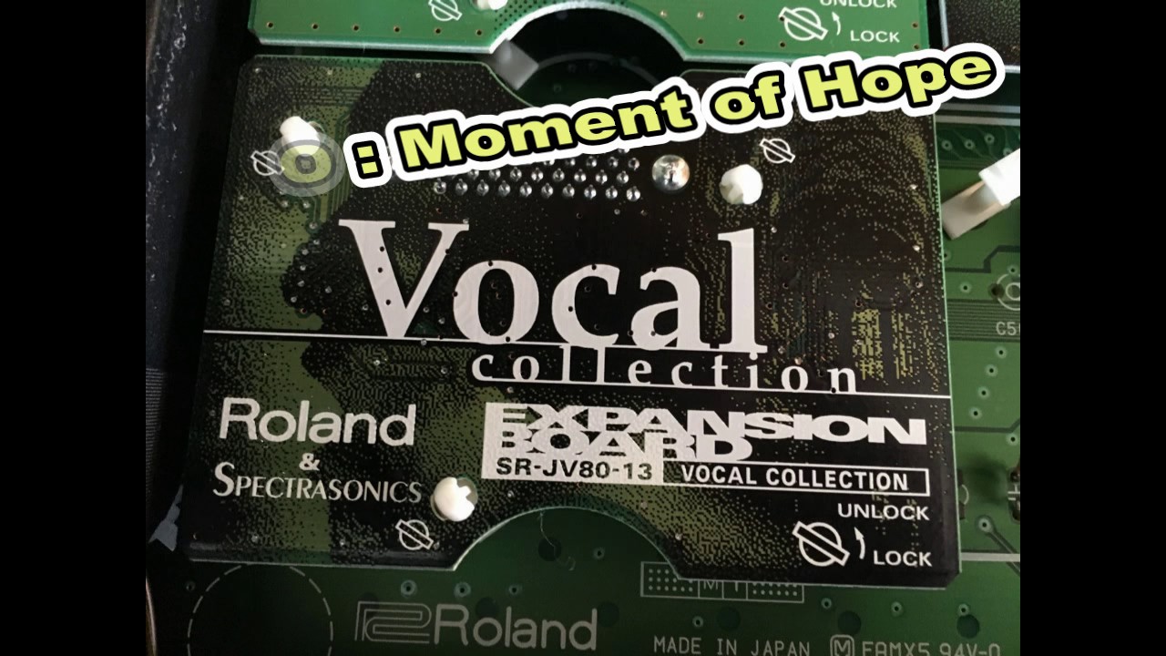 鍵盤楽器 Roland SR-JV80-11 TECHNO COLLECTION SR-JV80-11