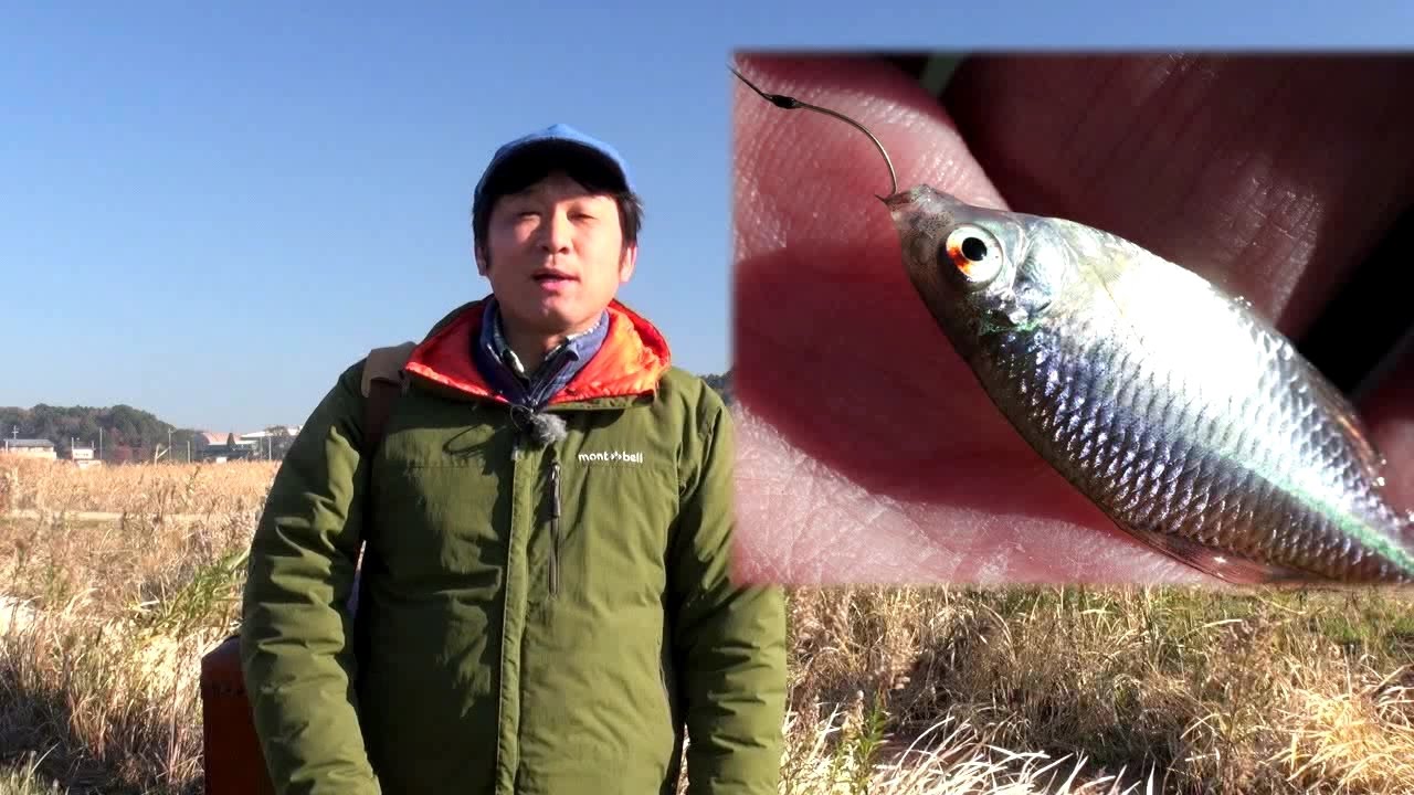 Honda 釣り倶楽部】タナゴ釣り入門講座 CHAPTER 01 タナゴってどんな魚