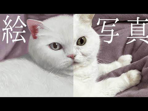 今は亡き愛猫が油絵の力で蘇る。全工程を完全公開【ドキュメンタリー