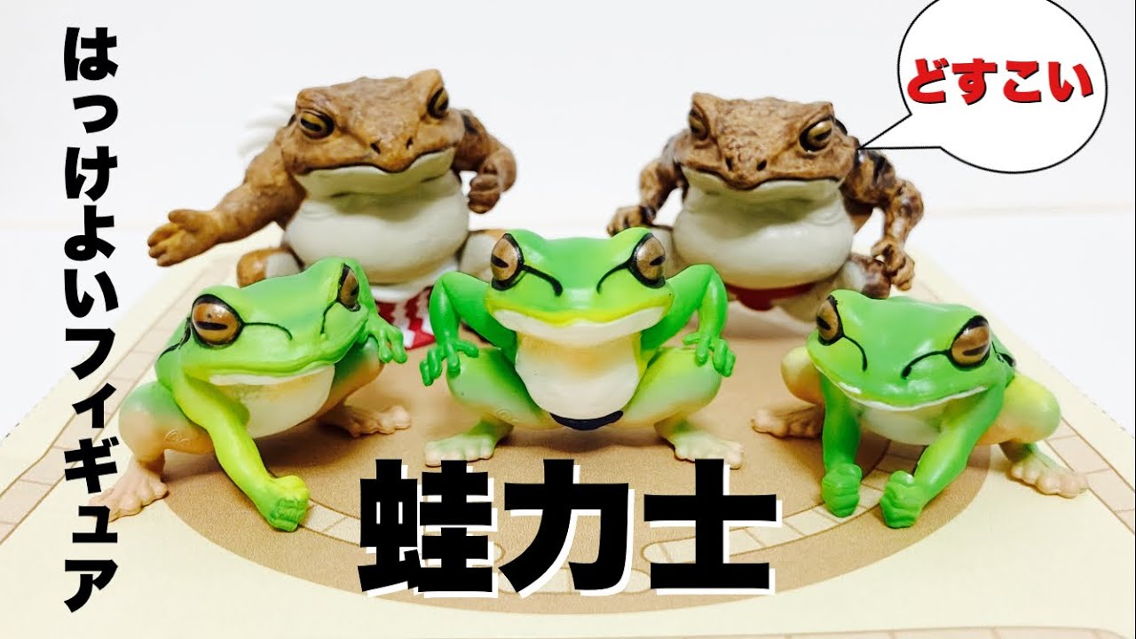 はっけよいフィギュア！？【ガチャガチャ】蛙力士を開封！Frog