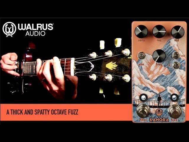 WALRUS AUDIO KANGRA FILTER FUZZ - YouTube