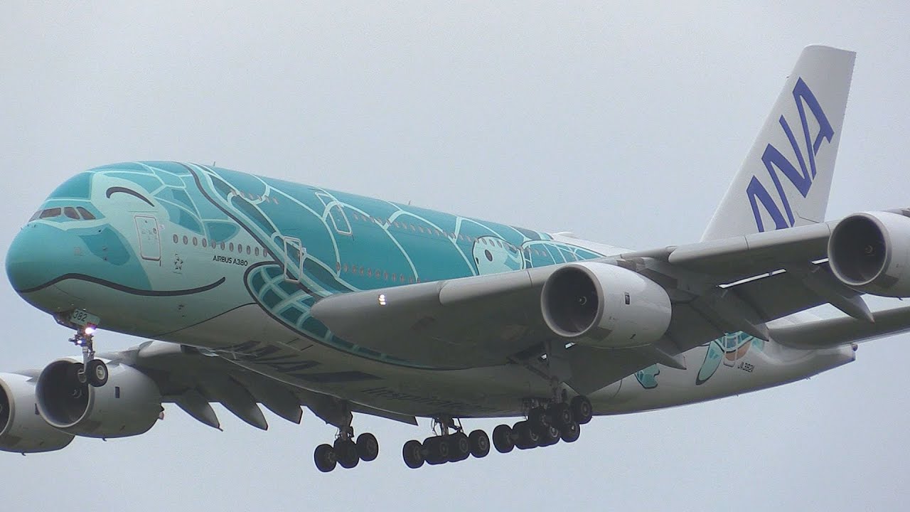 全日空のフライングホヌ (空飛ぶウミガメ A380) 静かにふんわり遊覧