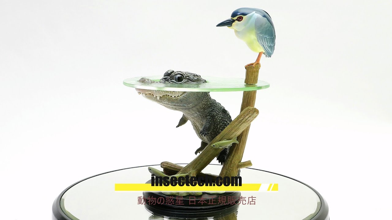 動物の惑星ジオラマシリーズ】第三弾 初回限定ゴイサギ付属