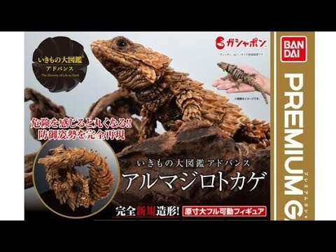 アルマジロトカゲ』いきもの大図鑑アドバンス 『ガシャポン版