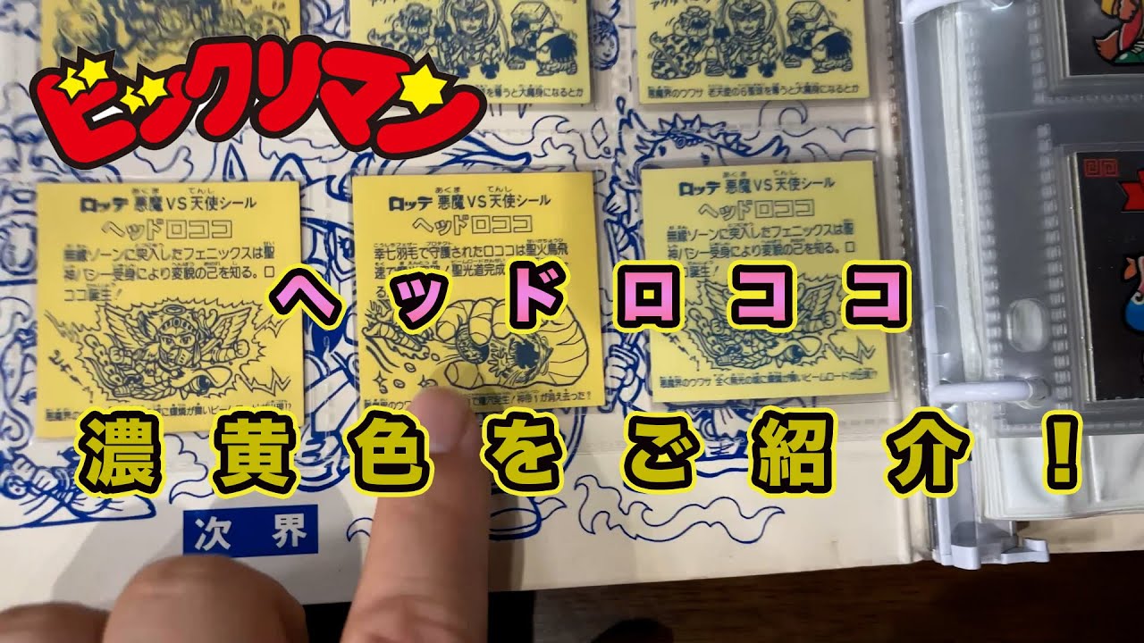 リクエスト回】濃黄色ヘッドロココはこちら❗️❗️ - YouTube