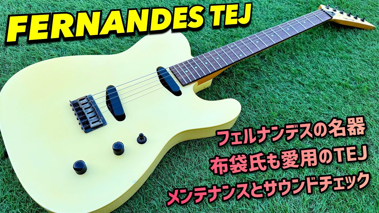 懐かしさ溢れる！FERNANDES TEJ フェルナンデスオリジナルギターの内部