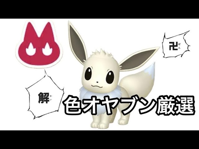 色違いオヤブンイーブイ♀厳選【ポケモンZA/Pokémon LEGENDS Z-A