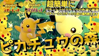 激ムズ案件 色違い判別の難しいピチューの色違い厳選とピカチュウの色