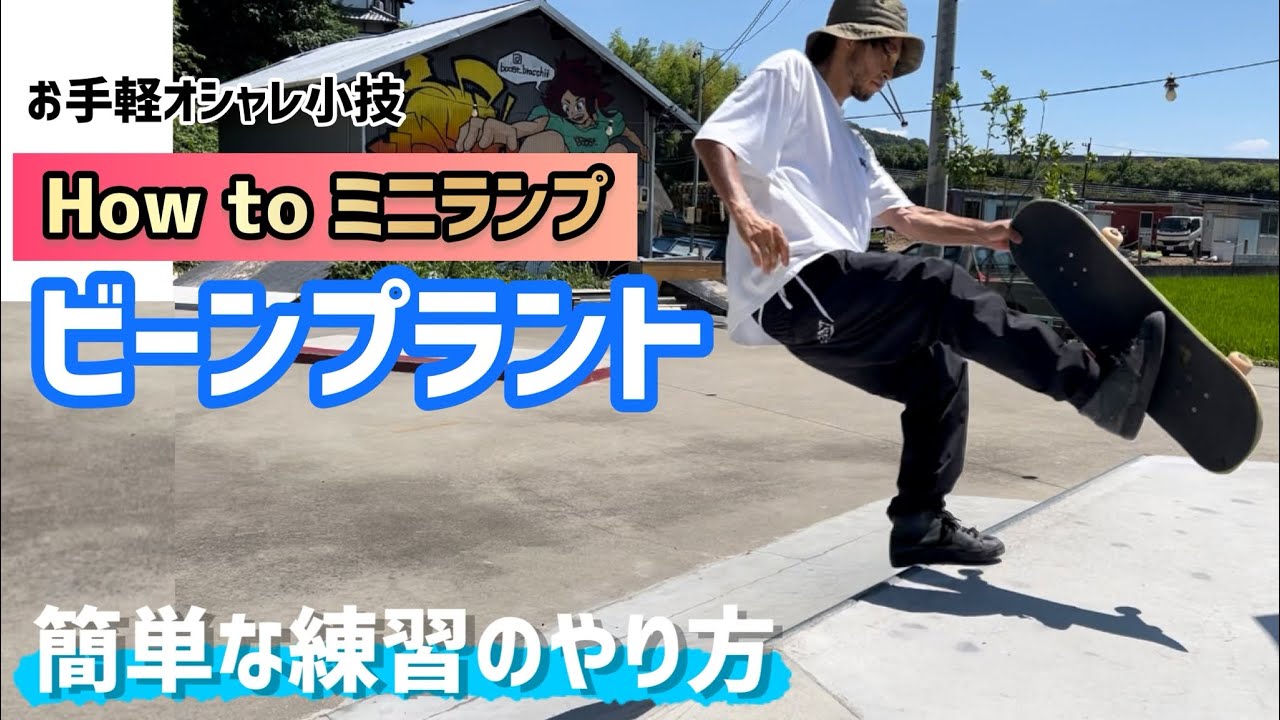 How to ミニランプ】おしゃれトリックビーンプラントの簡単な練習の