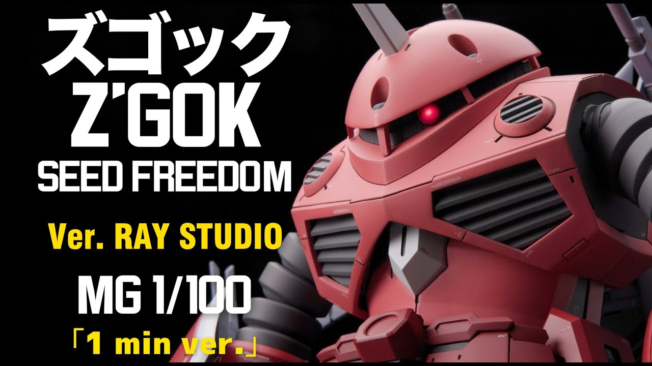 RAY] ありえない！本当にインフィニットジャスティスガンダムを