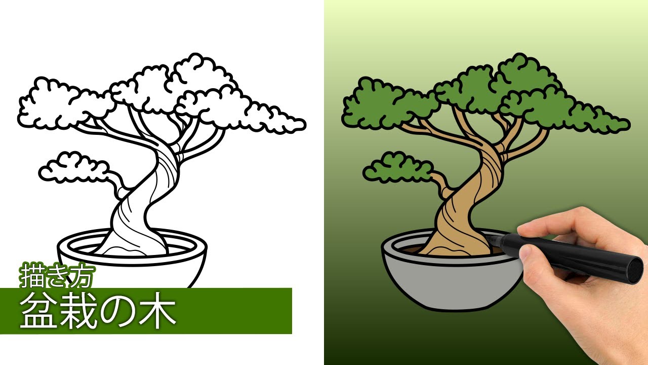 盆栽の木の描き方|簡単なステップバイステップの描画チュートリアル
