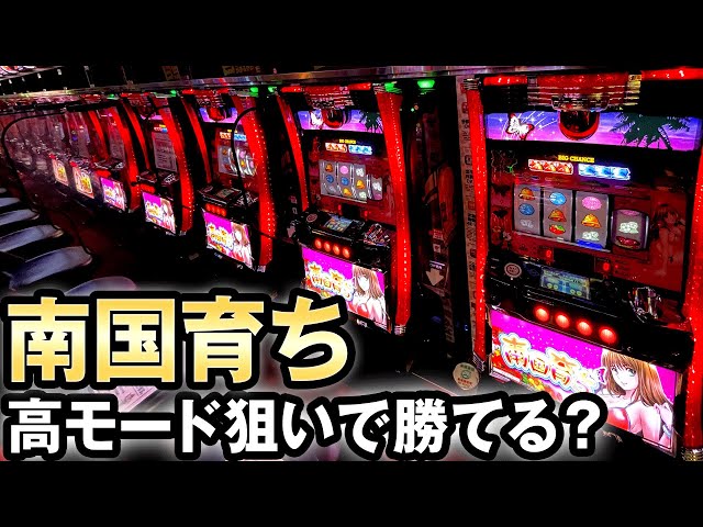 検証】6号機の南国育ちでひたすら高モード狙いしたら勝てる？ 桜#189