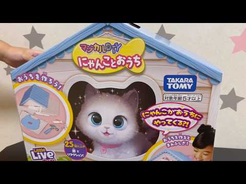 Cat and House Maa-chan's Toy - YouTube