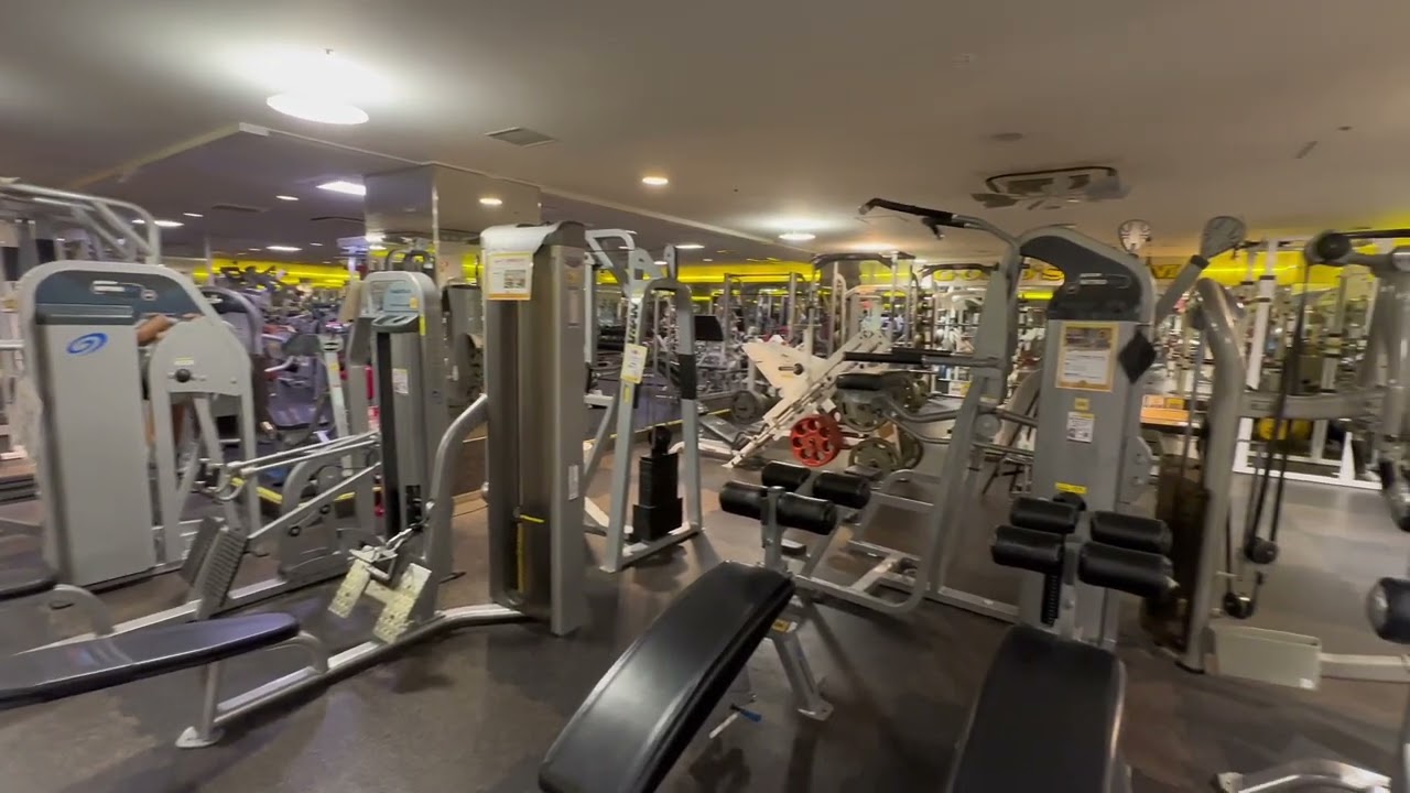 ゴールドジム八王子東京｜スポーツジム・フィットネスクラブなら