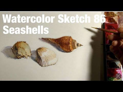 Watercolor Sketch 86 / Seashells 水彩スケッチ86 / 貝殻 - YouTube