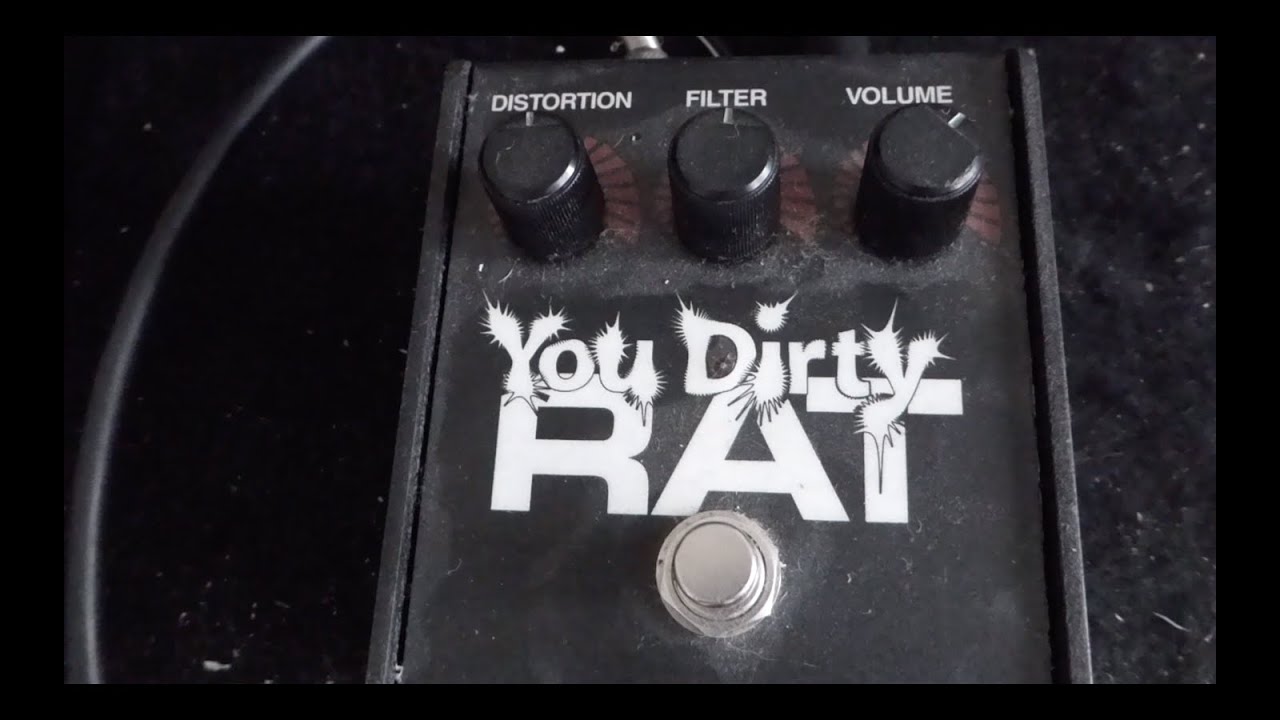 ProCo You Dirty Rat (Bass) - YouTube