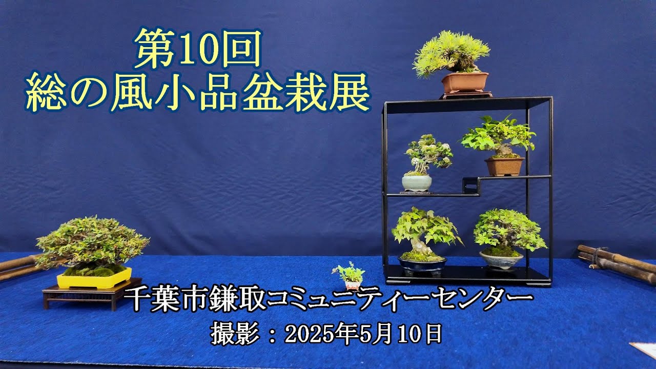 第10回総の風小品盆栽展 = 主催：方丈庵小品盆栽同好会 = [4K] The