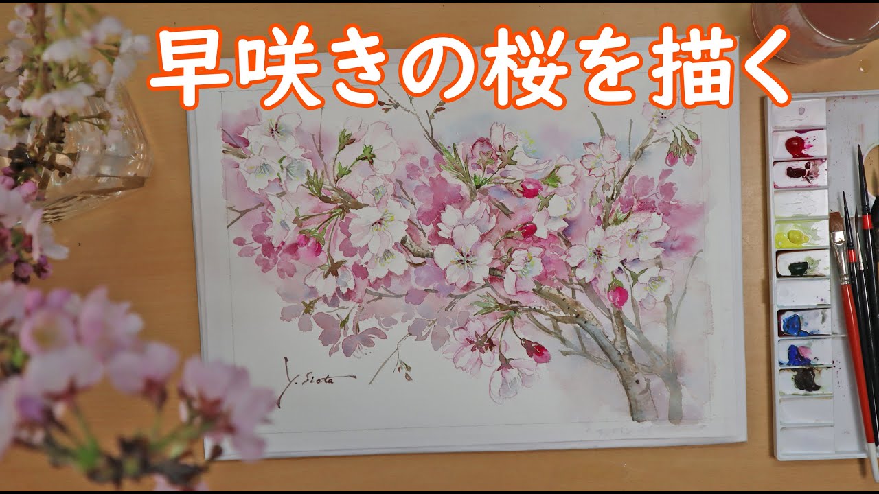 透明水彩画】早咲きの桜を描く - YouTube