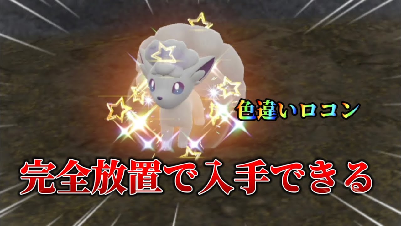 完全放置で色違いアローラロコン入手できます!!【#ポケモンsv 】【#藍