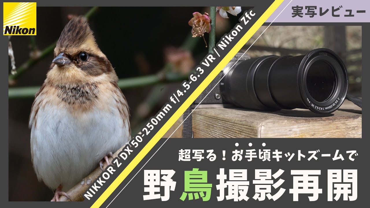安くて軽くてよく写る！NIKKOR Z DX 50-250mm f/4.5-6.3 VR / Nikon