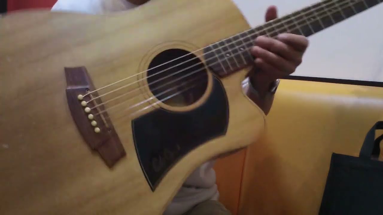 オーストラリア製 Cole Clark コールクラーク Fat Lady1 ACのご紹介