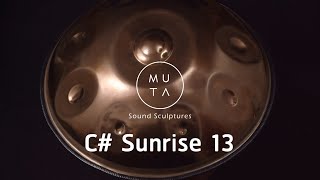 Hand pan ハンドパン Muta Sound Scluptures製 C# SUNRISE 13 HCT