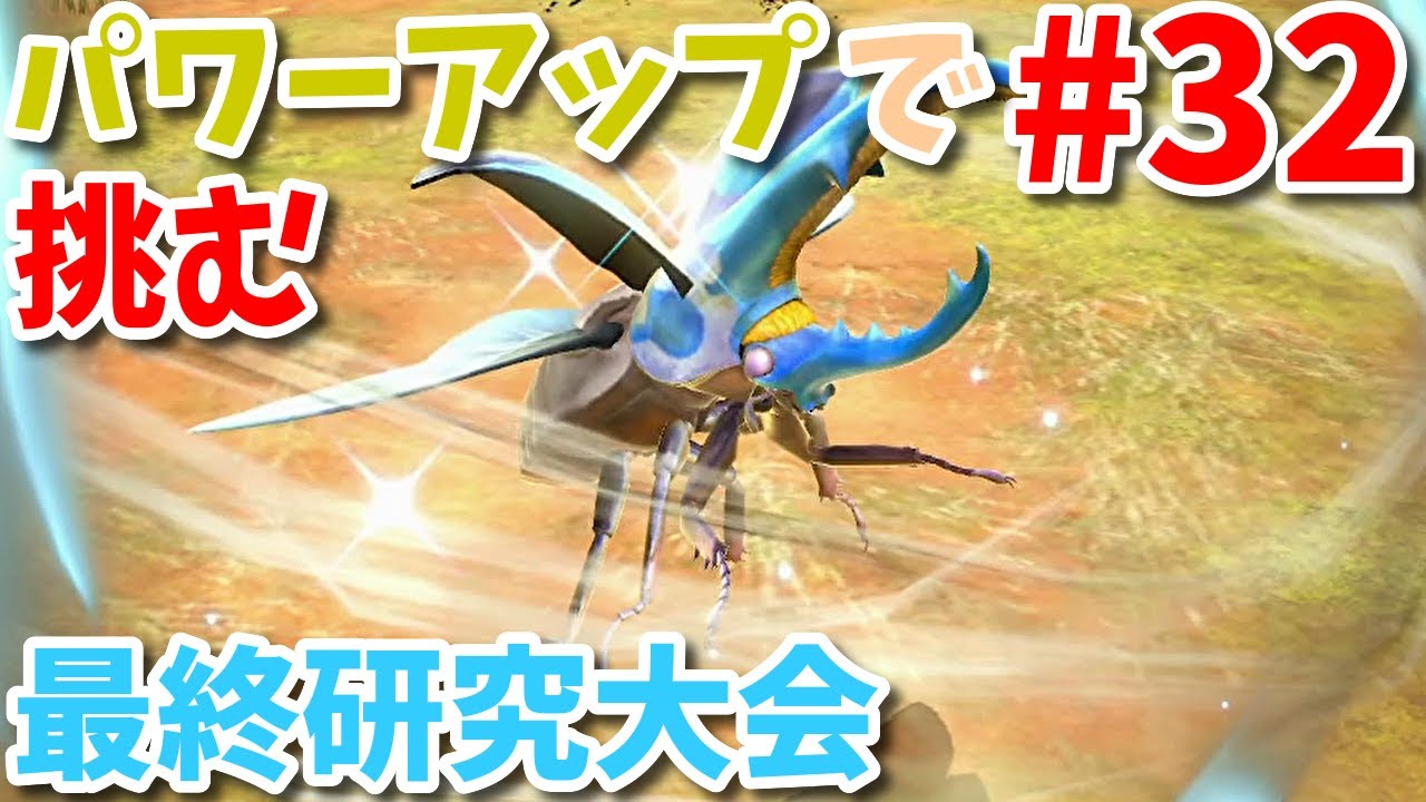 The Ultimate Helmeted Beetle Encyclopedia] An Unpredictable Battle