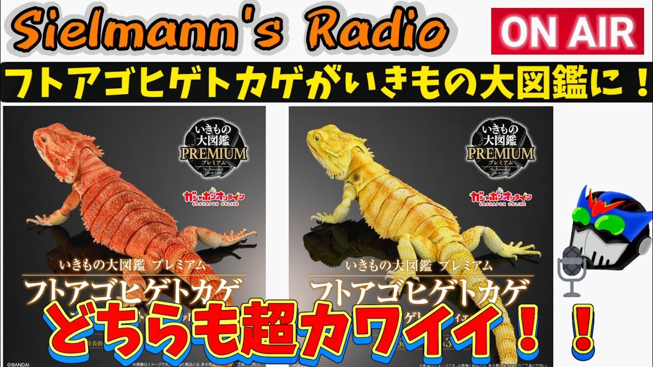 ジルラジ】フトアゴヒゲトカゲ販売開始情報！【いきもの大図鑑】 - YouTube
