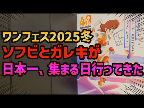 WF 2025 Winter Go shopping on the day when soft vinyl and garage