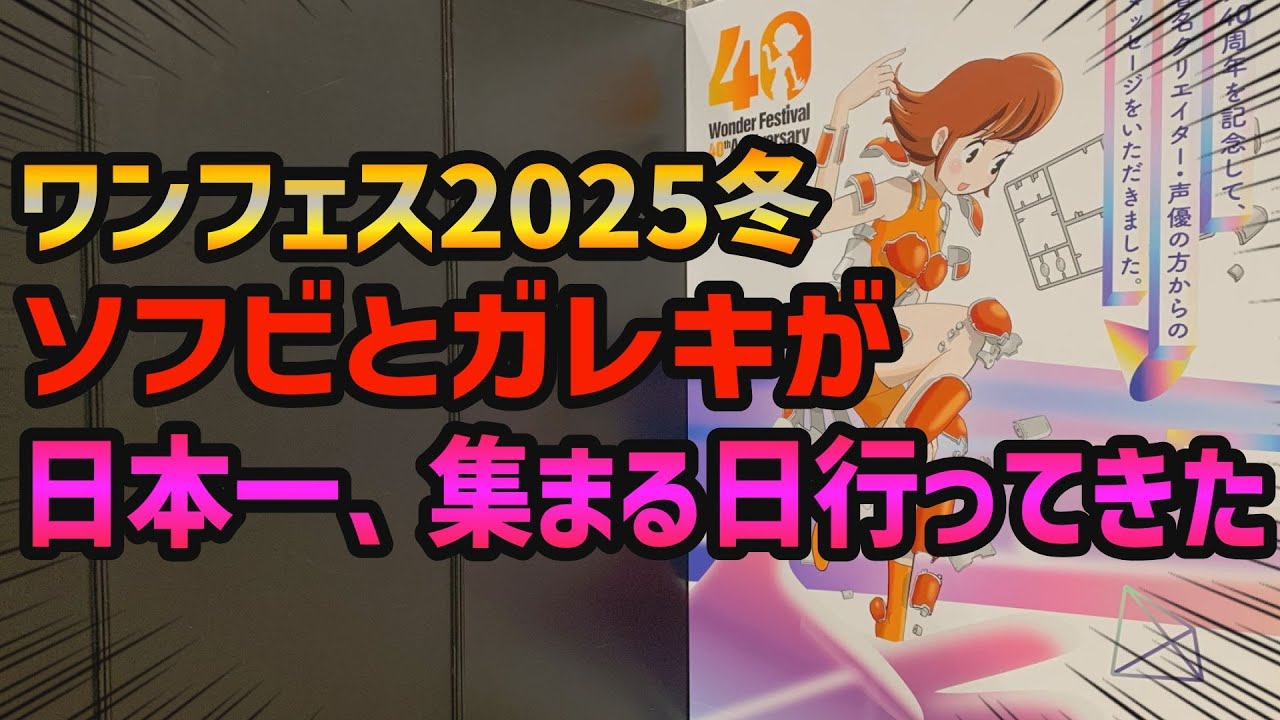 WF 2025 Winter Go shopping on the day when soft vinyl and garage