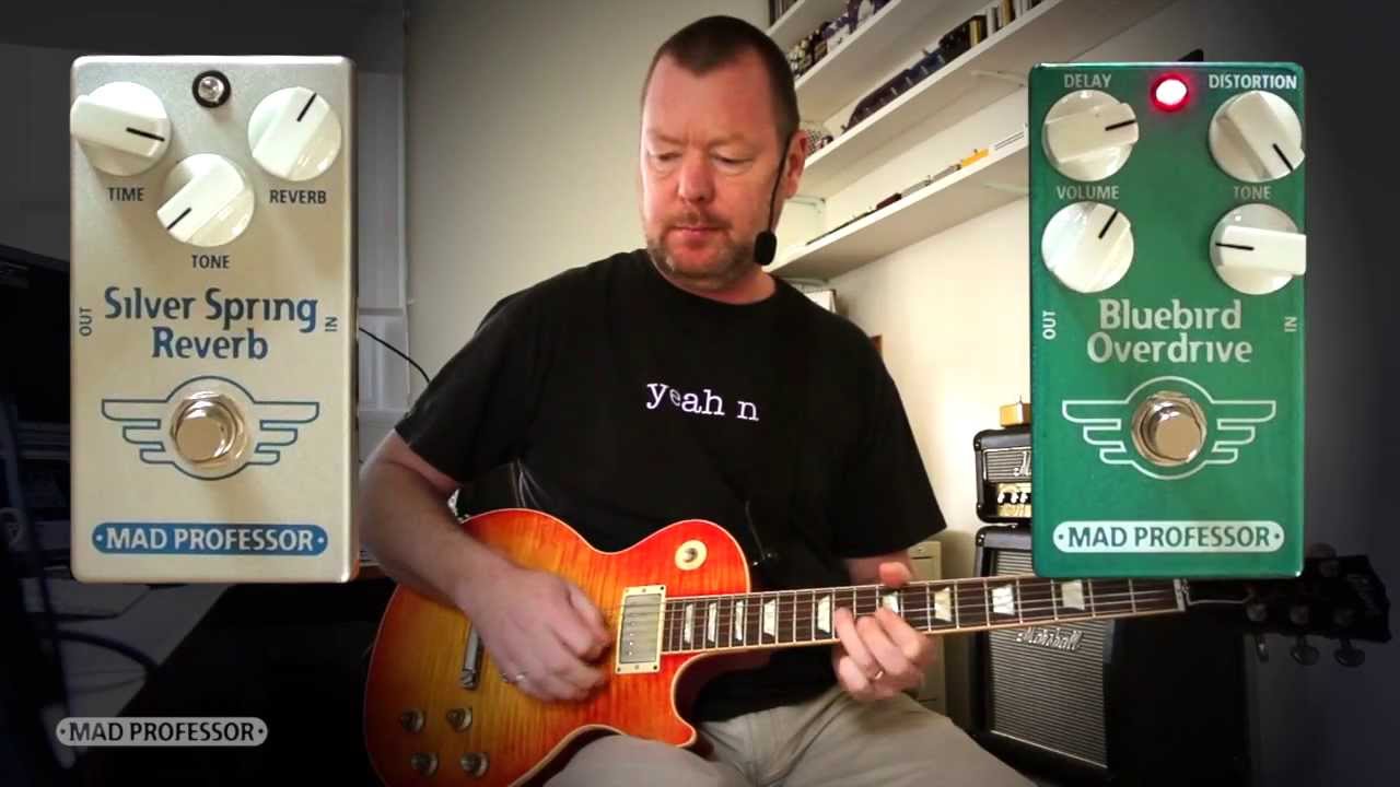 Mad Professor: SILVER SPRING REVERB w/Bluebird OD - YouTube