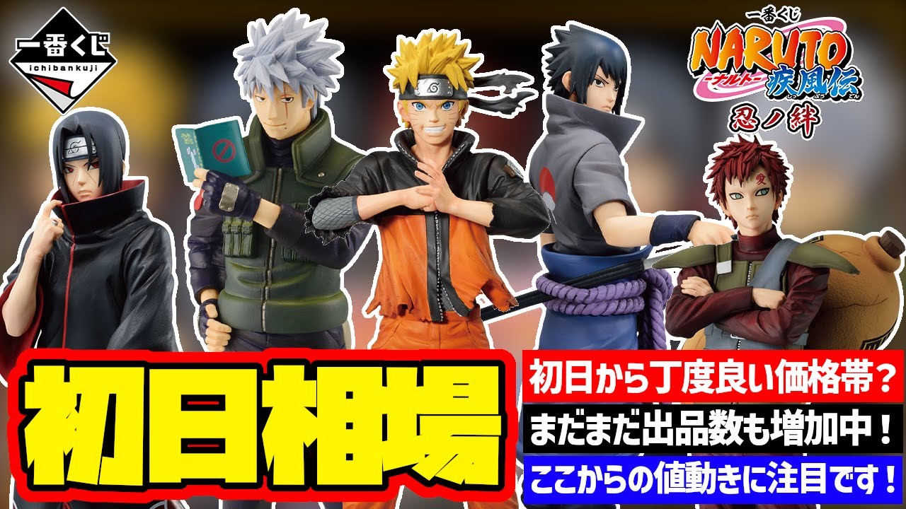 相場情報】初日相場！すでに丁度良い価格帯に！？まだまだ出品数も増え