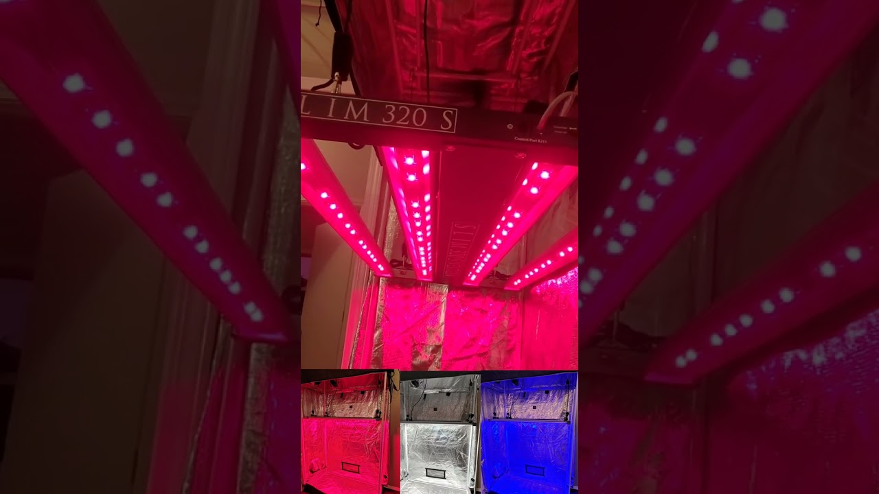 Slim 320S NextGen V2 - 3 way Dimmable LED Grow Light - 320w (3500k