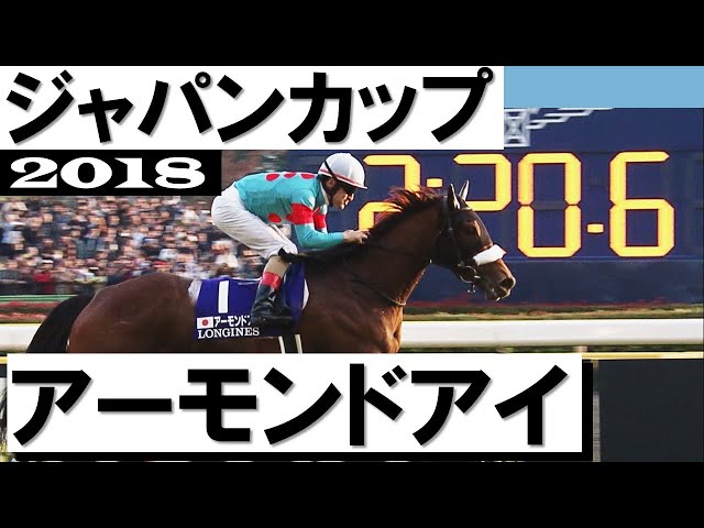 超激レア】アーモンドアイ 等身大ゼッケン ジャパンカップ ルメール