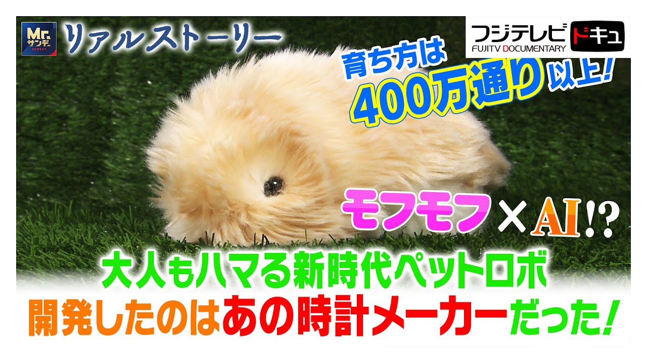 話題沸騰のモフリン！“何もできない”のに心を動かすAI ロボットが家族