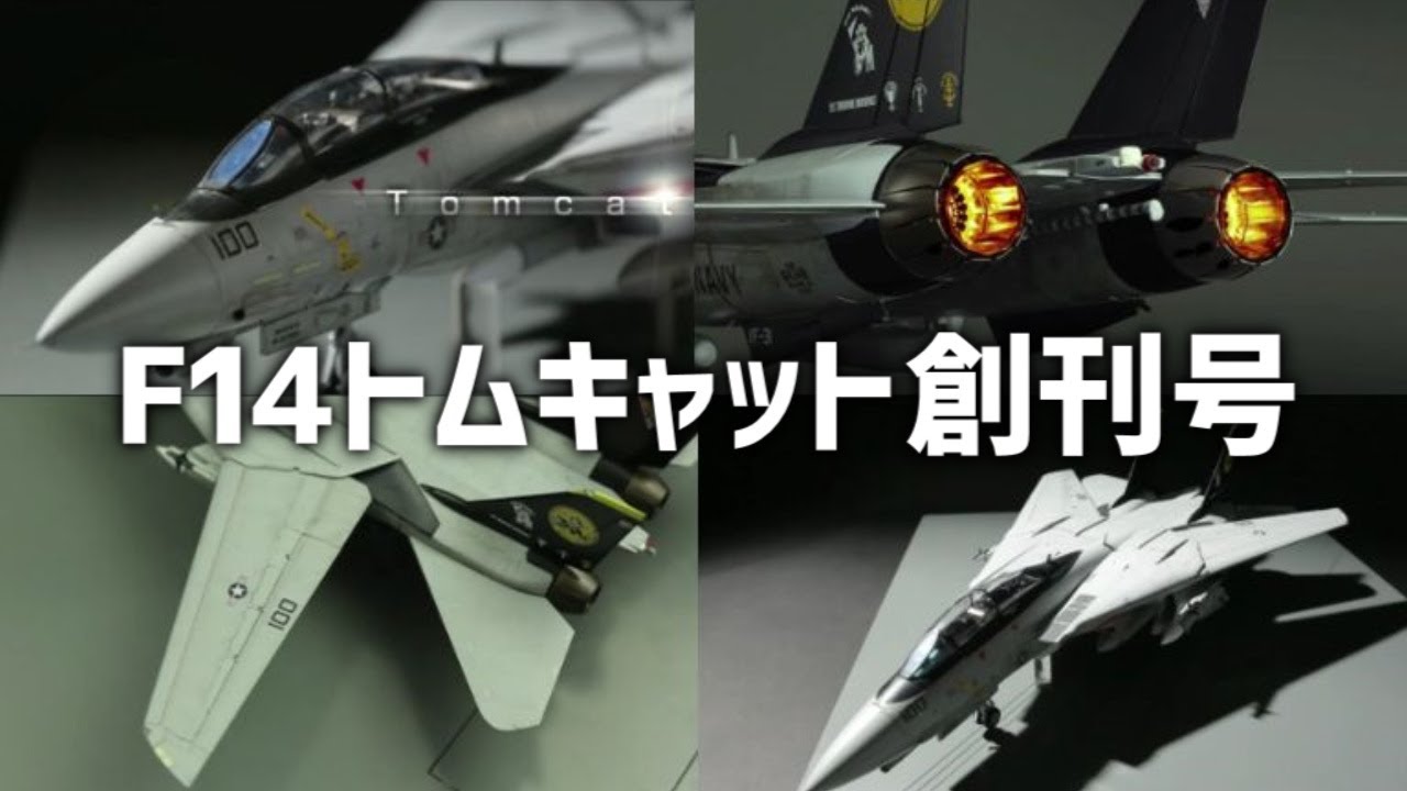 F14 Tomcat 