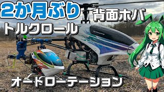 Hirobo Embla Neo-Caliber 50 Quest Torque Roll Radio-Controlled