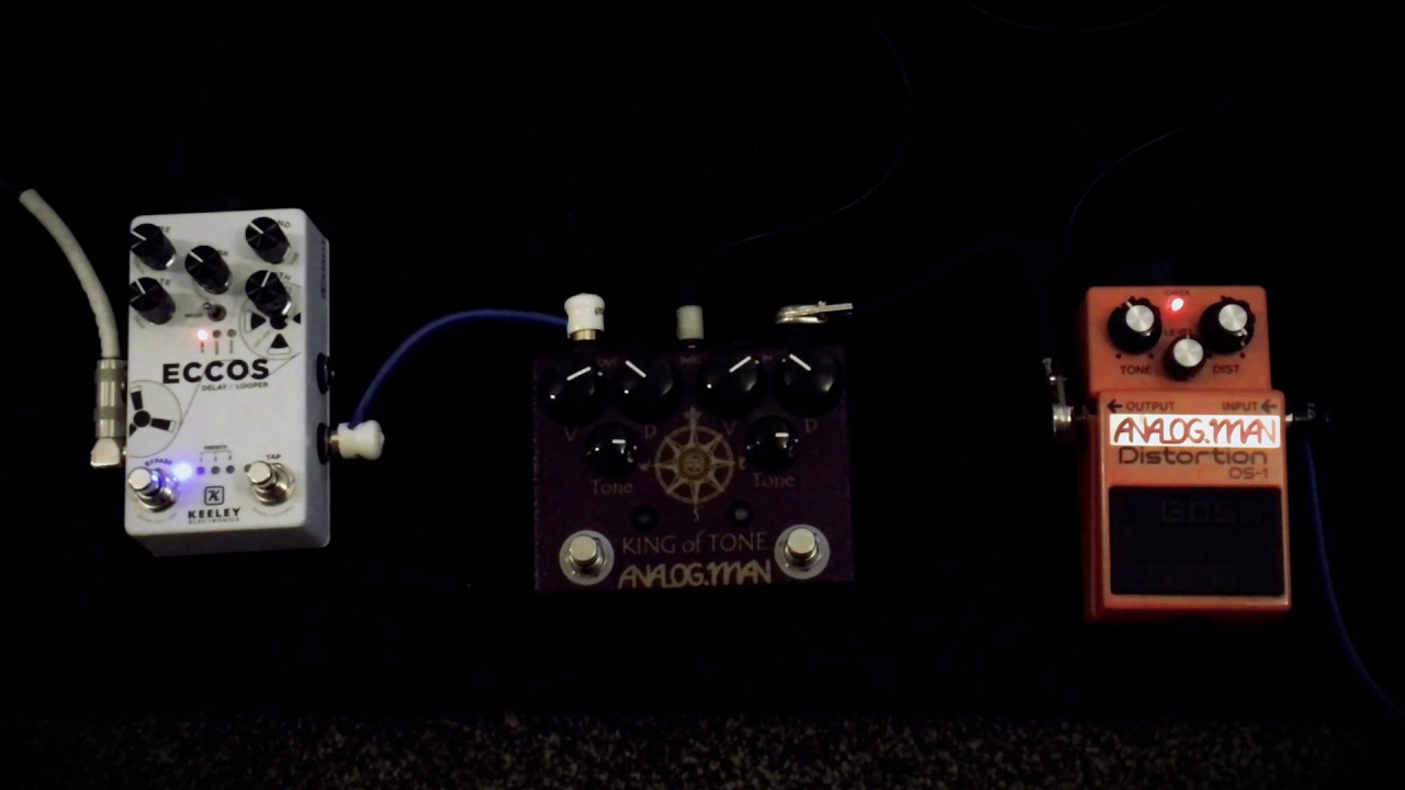 Analog Man Boss DS-1/Pro