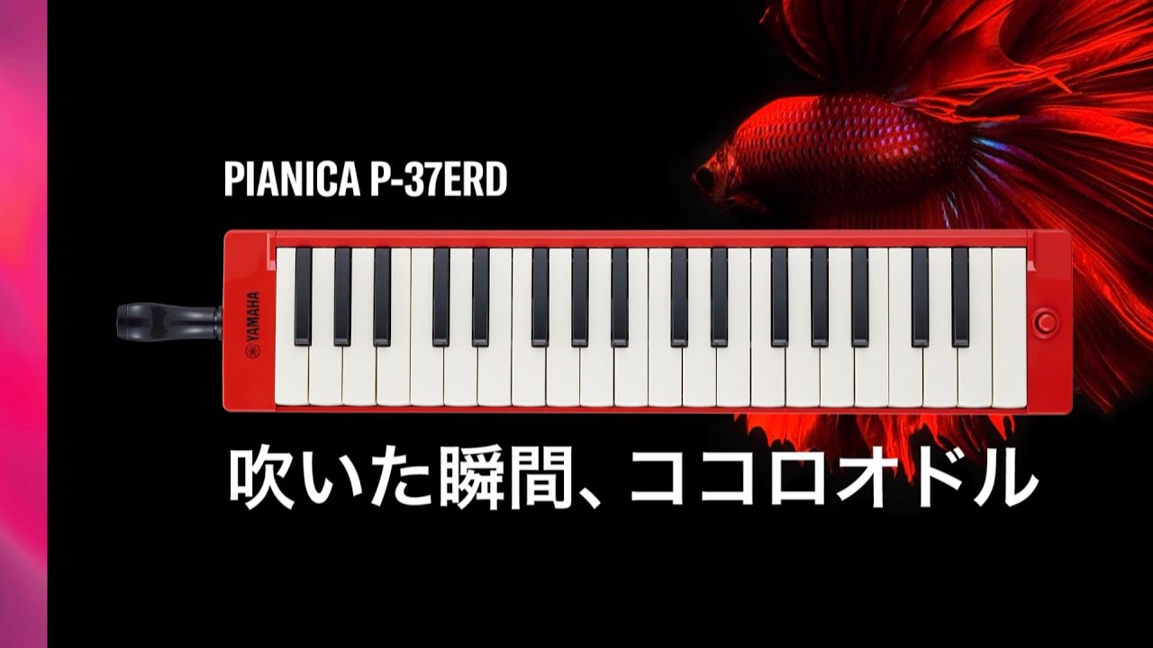 大人のピアニカP-37ERD アーティスト商品レビュー - YouTube