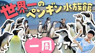 A must-visit at least once in your life! A comprehensive tour of