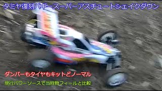Tamiya's reissued buggy Super Astute Shakedown! Although it's
