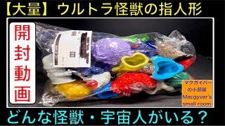 ウルトラ怪獣の指人形が大量に入った商品を購入。ウルトラ怪獣 怪獣