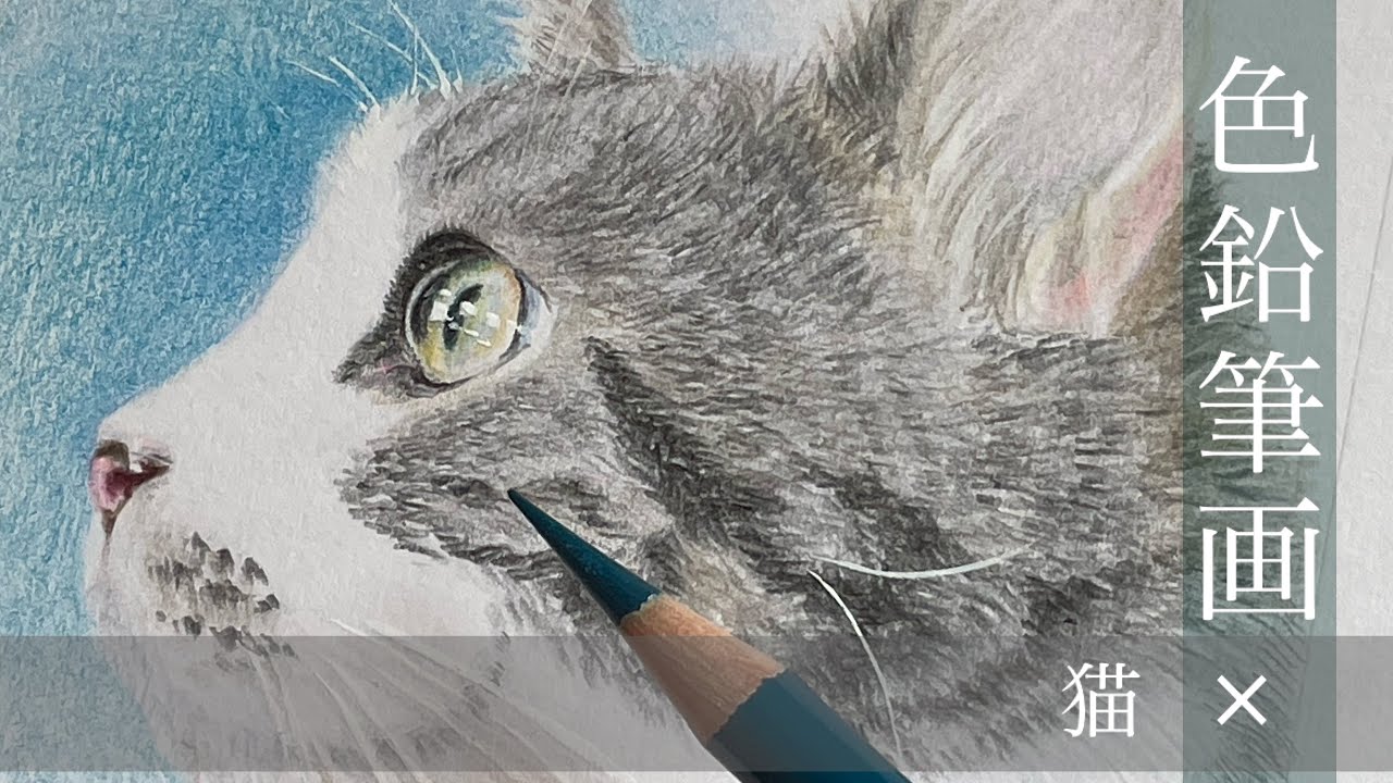 イラスト【色鉛筆画】リアルに挑戦！ 猫ちゃんを描いてみました