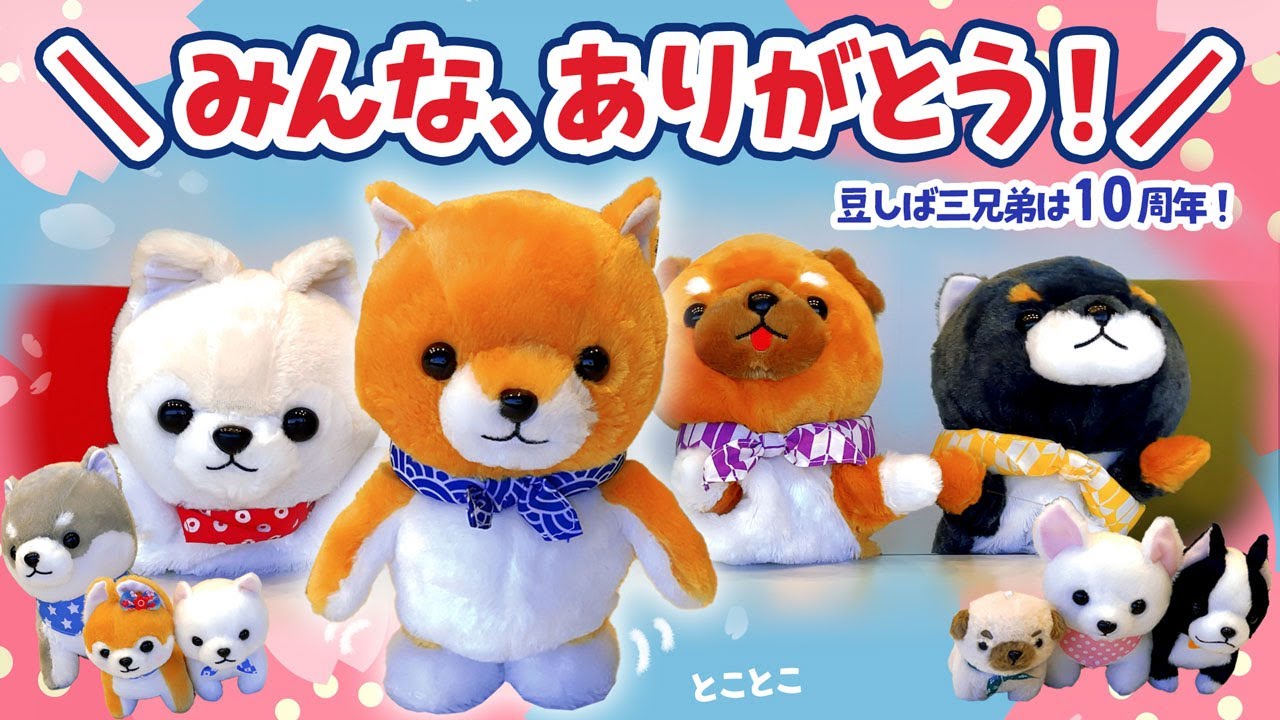 10周年】豆太郎からみんなへ【豆しば三兄弟】 - YouTube