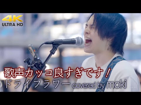 歌うま 】歌声カッコ良すぎです！ ドライフラワー / 優里（ covered by