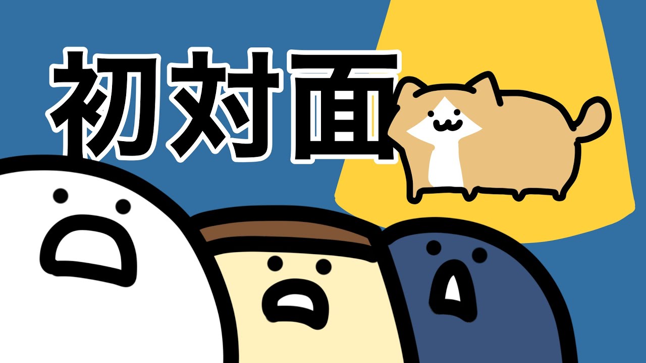 I would like to introduce the kitten to the stationery store