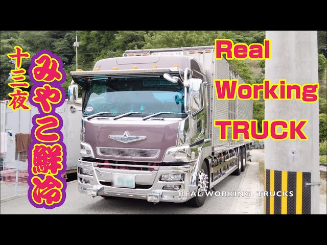 十三夜☆みやこ鮮冷】REAL WOKING TRACK - YouTube