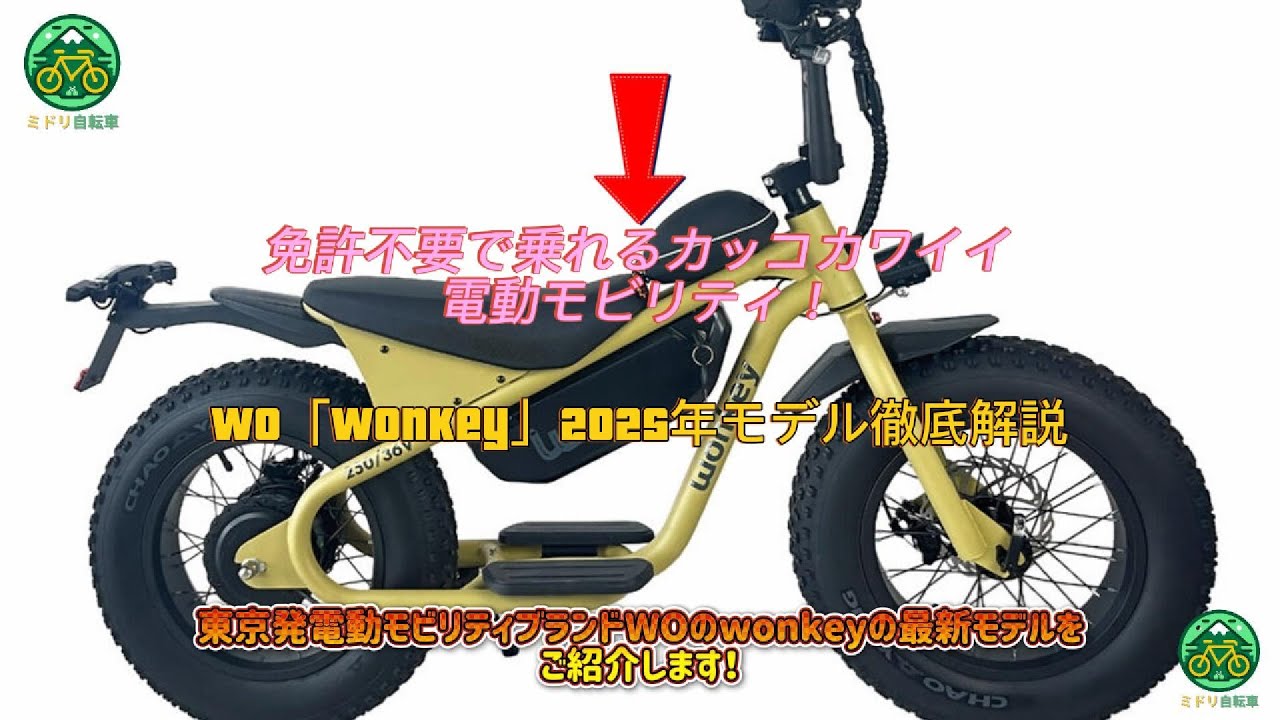 新登場】免許不要で乗れるカッコカワイイ電動モビリティ！WO「wonkey