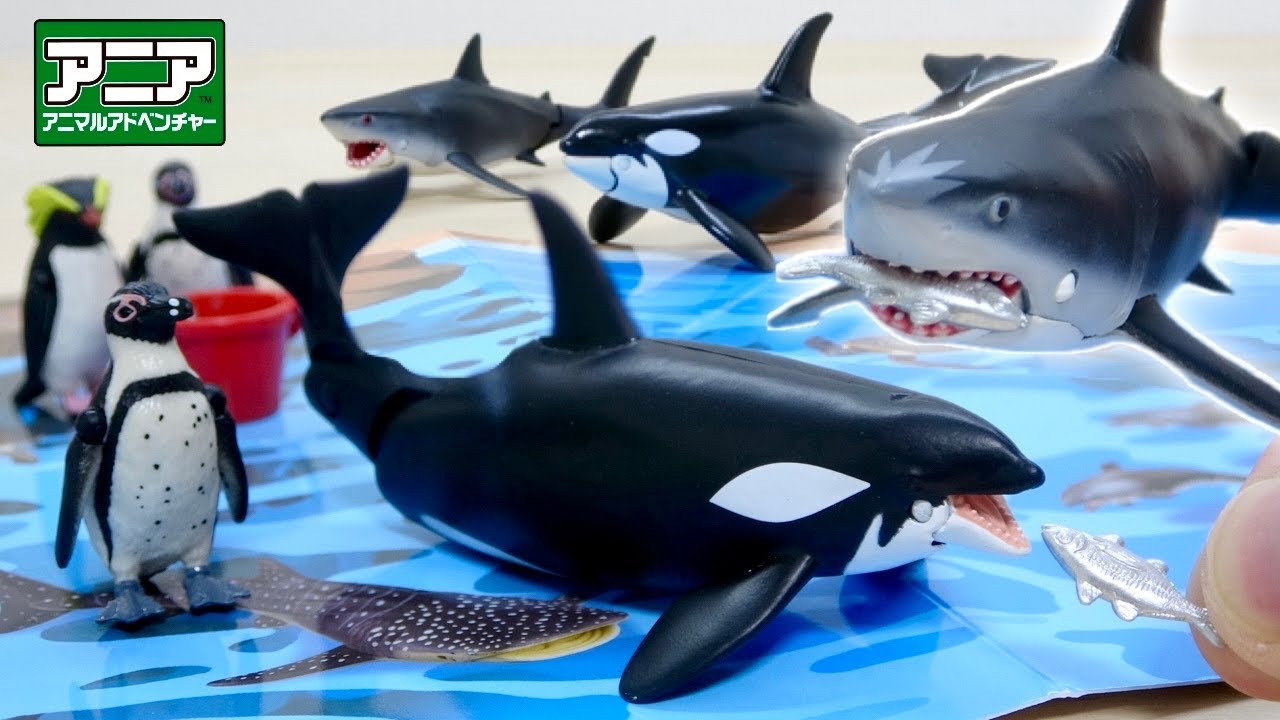 夏にピッタリの豪華フィギュアセット! アニア AA-02 海のいきもの